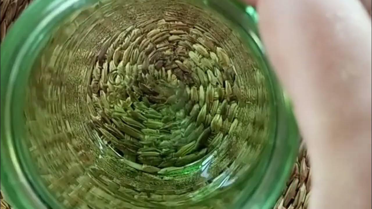 Посол огурцов без уксуса на зиму рецепты. Посол огурцов без уксуса на зиму рецепты