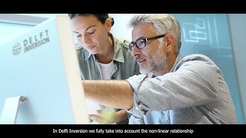 Delft Inversion Company Introduction