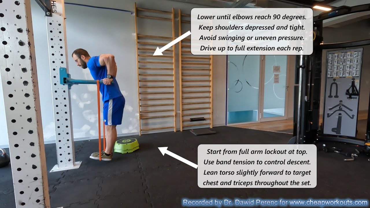 How to Do Band-Assisted Dips | Triceps & Chest Strength Progression for ...