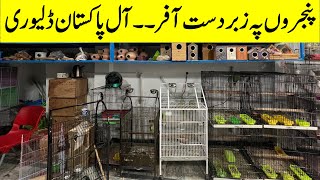 Birds Cages Prices | Latest Birds Cages Prices | Exotic Birds Cages | Cheapest Birds Cages 2026