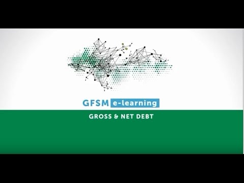 Gross & Net Debt