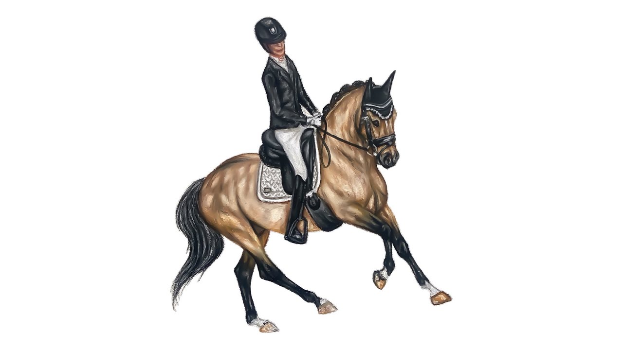 Drawing a buckskin dressage pony