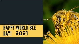 Worldbeeday21 Youtube