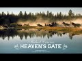 Siskel & Ebert Review Heaven's Gate (1980) Michael Cimino