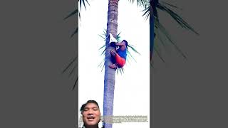 Vượt Lên Chính Mình Của Ấn Độ #facts