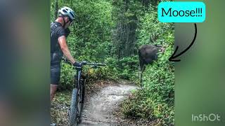 Singletrack 6 Stage 1: Fernie BC Race Recap (2022)