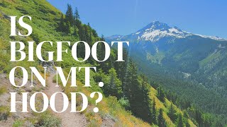 Looking for BIGFOOT on Mount Hood | Hiking and Camping in Oregon