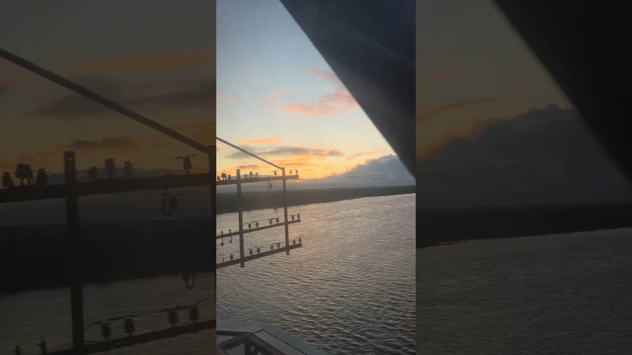 Та самая поездка 