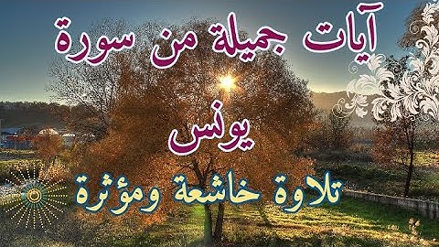 تلاوة خاشعة من سورة يونس - القارئ الجزائري أسامة بومشاش - ماشاءالله