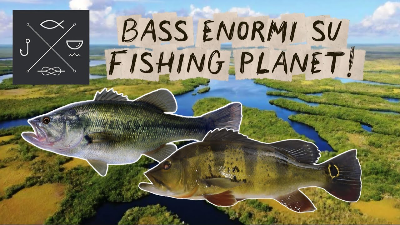 Bass Fishing su Fishing Planet😎 | Fishing Planet Ep.1