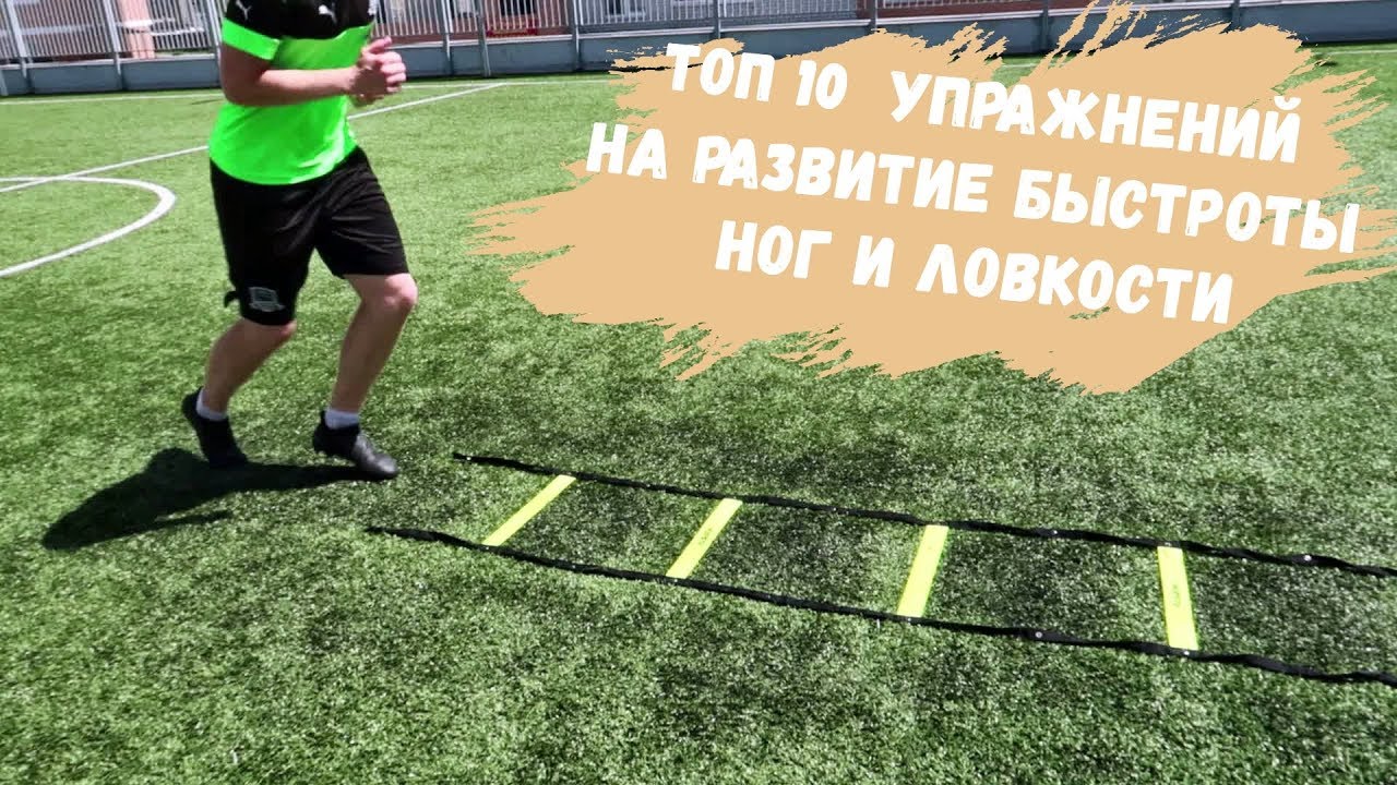 Selank ������ �������: ����.