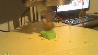 Timelapse Yoda