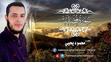 سورة فصلت كاملة بصوت د.محمود يحيي