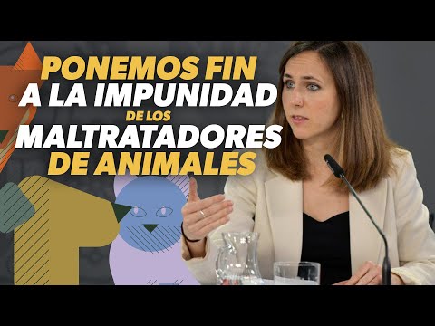 Así es la primera ley de DERECHOS ANIMALES | Ione Belarra