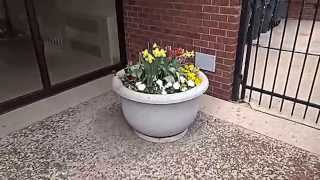 Information Here Is 16 Seconds Of Your Private Patio In South Commons In Chicago USA Guide