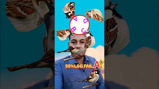 इस गवारिया पक्छी के आधा भाग को जोड़िए 🤔💪#burds #stopchallange #circlechallenge #funny #shorts #reels