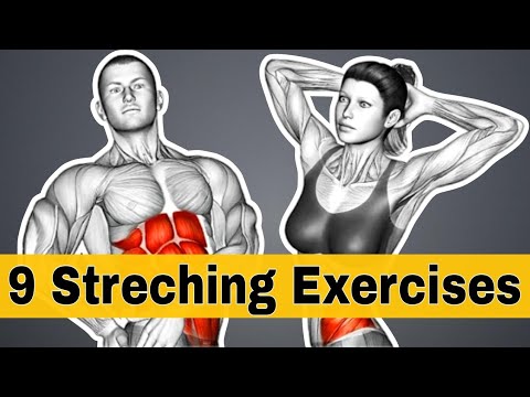 Quick and Easy Basic Stretching Exercises for Beginners | The Ultimate ...