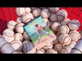 Mayor Jacobs and Knoxville Smokies Celebrate One Book Read City
