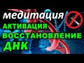 АКТИВАЦИЯ ДНК/ВОССТАНОВЛЕНИЕ ДНК/ИСЦЕЛЕНИЕ ДНК