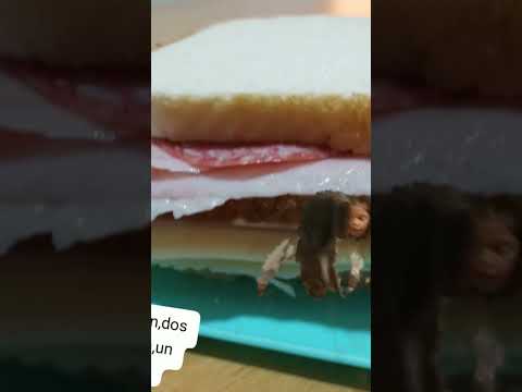 video humilde no tengo ideas(perdón por no subir videos) #music #humor #random #funny #fun