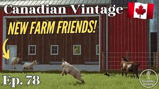 COWS, CHICKENS AND NOW GOATS! | Canadian Vintage | FS 25 | Episode 78