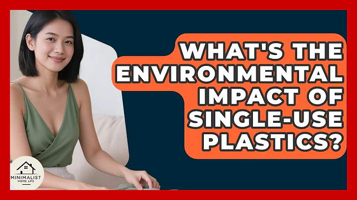 What's The Environmental Impact Of Single-Use Plastics? - Minimalist Home Life