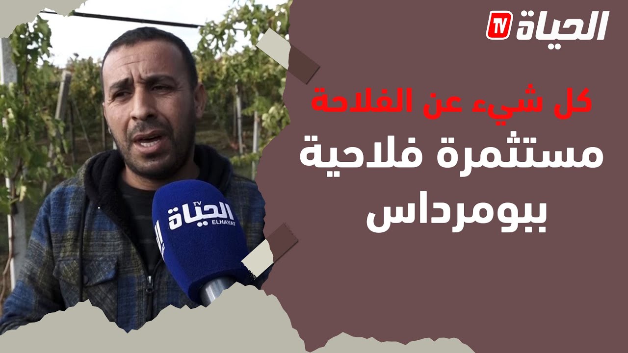 كل شيء عن  الفلاح  / 200 فلاح ببومرداس يعانون من البيروقراطية و يطالبون بتدخل السلطات الوصية