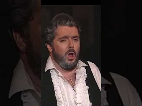 VICENTE LACÁRCEL performs