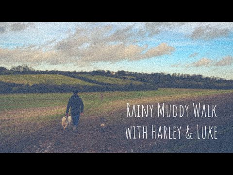 Walking in the Lincolnshire wolds - Muddy walk to the top of the hill and back. Louth, Lincolnshire