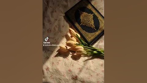 تلاوة #راحه #صلوا_على_النبي #قرآن #تلاوات #قران_كريم #تلاوة_خاشعة #سبحان_الله #تلاوة_مميزة