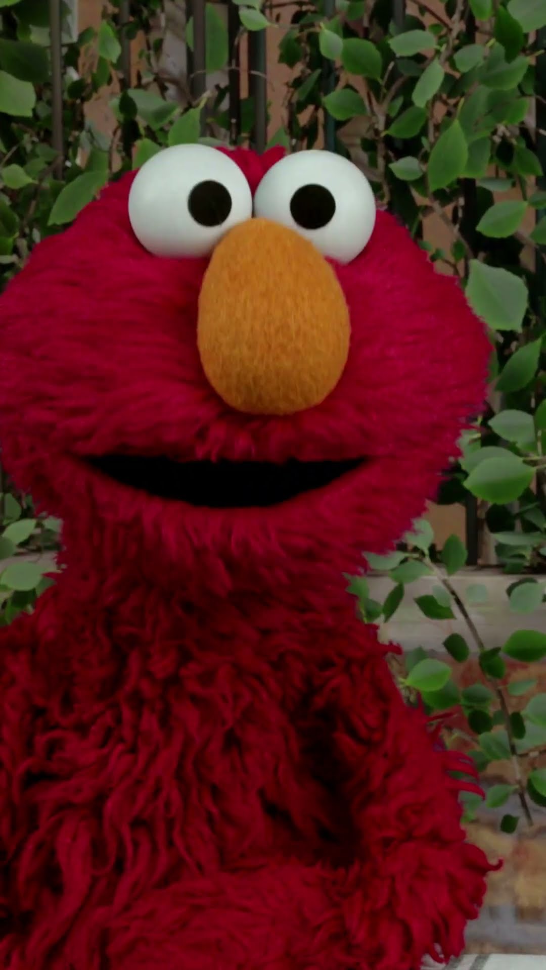 Elmo Checks In with Rocco #sesamestreet