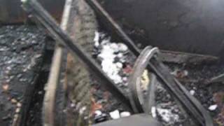 Burnt Trolley (That Kid Chris - Activate)