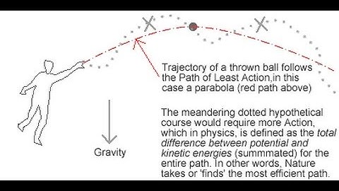 #1 Classical Mechanics - Principle of Least Action