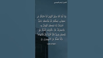 سورة آل عمران (٨١ - ٨٢) /ياسر الدوسري