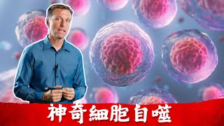 (癌5)神奇細胞自噬, 抗癌細胞？正常細胞與癌細胞的差別. 柏格醫生dr Berg