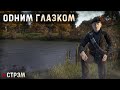 DayZ 1.21 | PERVAK | СТРЭМ | СКОРО СЕЗОН