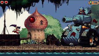 A Shantae Tribute. 24Th Anniversary Edit.