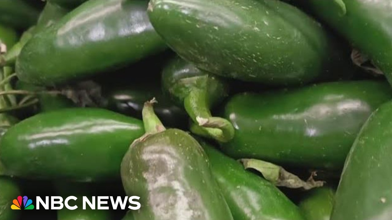 New food items recalled over salmonella outbreak 