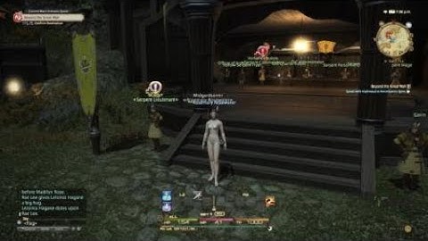 Hot Bot FFXIV action
