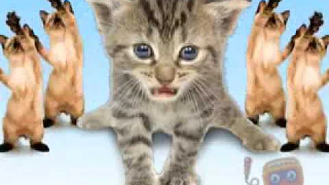 Singing Cats-Joy Joy Joy Joy