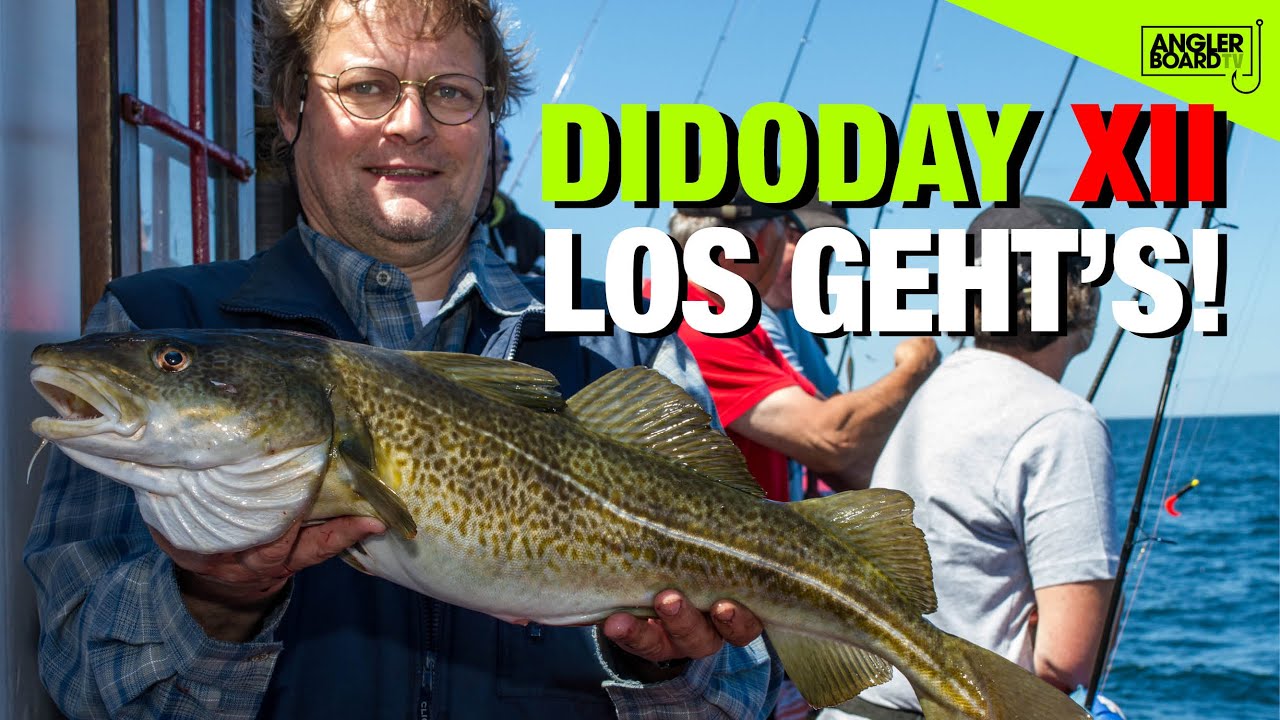 DiDoDay XII (Teil 2) | Angeln auf Dorsch, Plattfisch, Makrele | Angelkutter Ostsee | Anglerboard TV