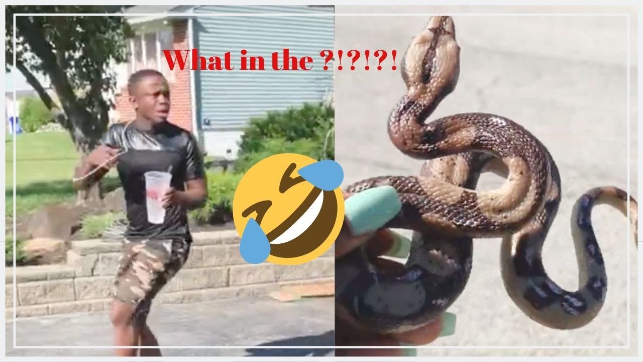 Pranked Fiancé w/ Fake Snake (He left us)