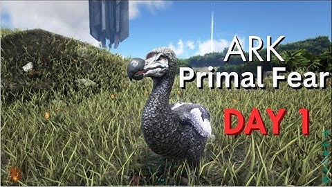 My first day in Primal Fear. Here