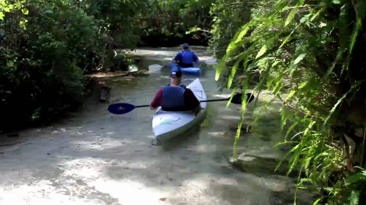 Juniper Springs Recreation Area - Ocala National Forest - YouTube