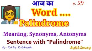 Palindrome meaning
