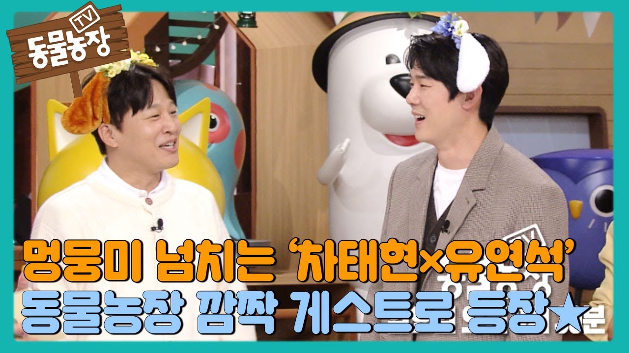 3월 12일 예고] 차태현×유연석, Mc들 깜짝 놀라게 한 스페셜 게스트 등장☆ #Tv동물농장 #Animalfarm #Sbsstory  - Youtube