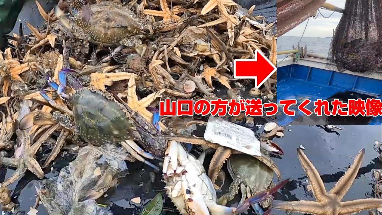 この海を40000時間みた男の直感。　Intuition of a man who saw this sea for 40,000 hours