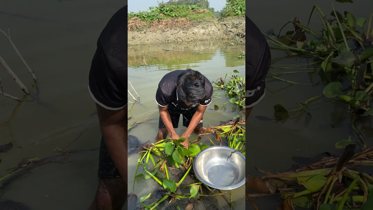 amazing bamboo fishing technique 