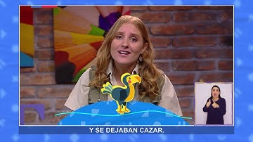 AprendoTV- Lenguaje 4° básico /Capítulo 4