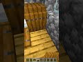 Villager Prank 😜